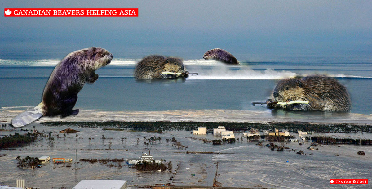 TheCan©Beavers-in-Action